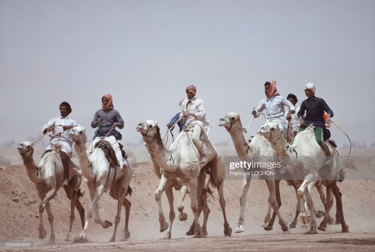 Đua lạc đà trên sa mạc, một hoạt động thể thao truyền thống của Ả Rập Saudi.