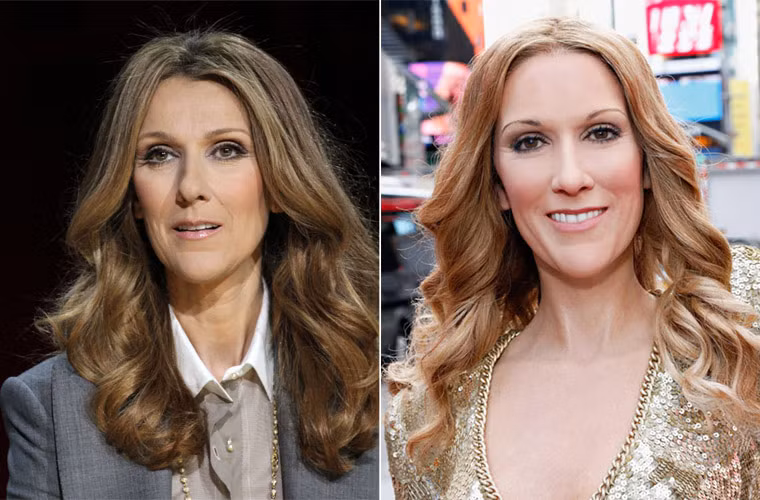 Ngày 8/10/2013, bảo tàng tượng sáp Madame Tussauds ra mắt tượng sáp nữ ca sĩ nổi tiếng Celine Dion ở Quảng trường Thời đại.