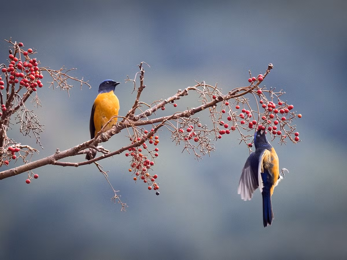 Ai sinh ngày Âm lịch này có sao may mắn vây quanh - Hình 3 Ai sinh ngay Am lich nay co sao may man vay quanh-Hinh-3
