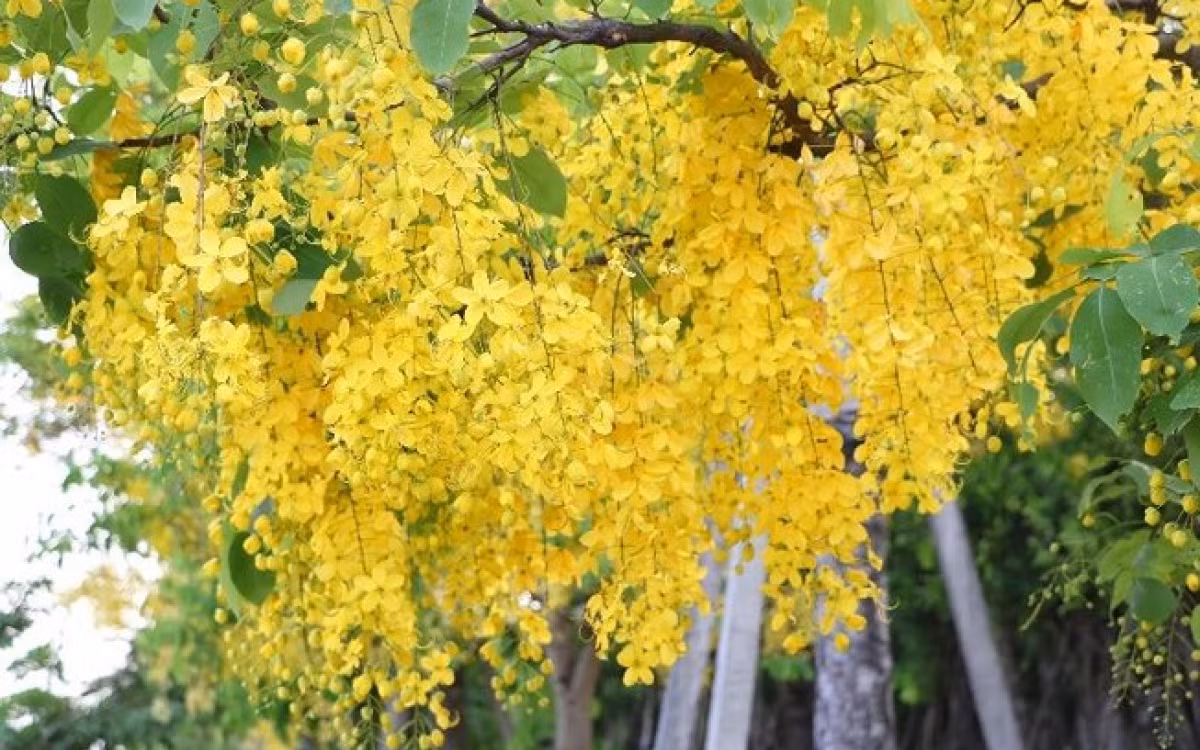 Vợ chồng họ đồng cam cộng khổ, vượt qua nhiều khó khăn để xây dựng sự nghiệp thành công, vun vén hạnh phúc gia đình. Cuộc sống của họ càng về sau càng ấm êm, sung túc. *Thông tin trong bài chỉ mang tính chiêm nghiệm, tham khảo