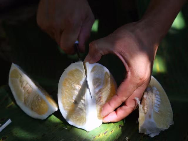 Thậm chí, người dân và du khách có thể hái và thưởng thức thanh trà ngay tại vườn để có những trải nghiệm thú vị.