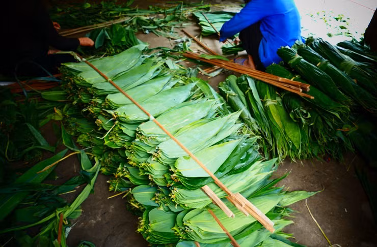 Nhung loai la truoc bo di nay mang ban hang trieu do