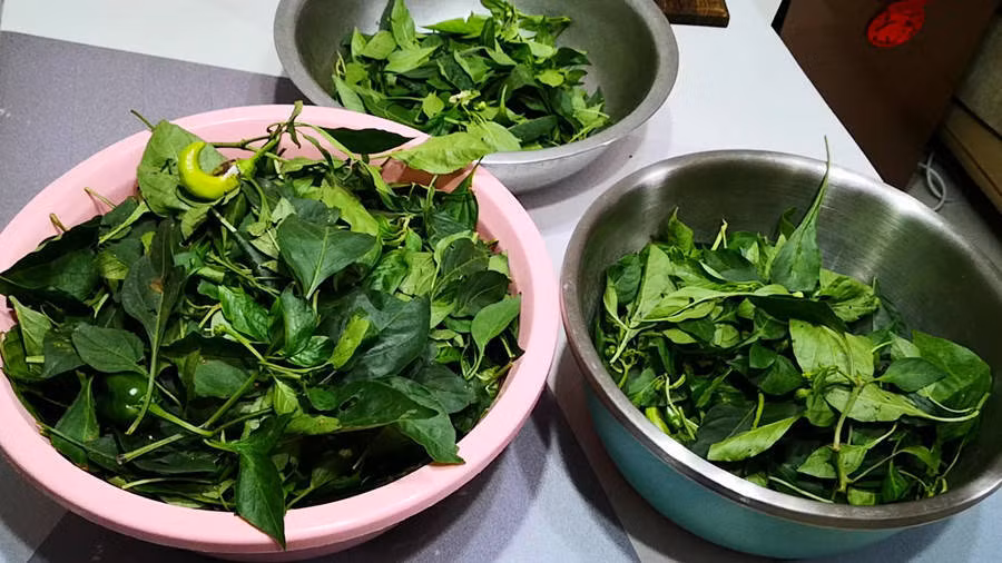 Loai rau bao boi, cuc tot cho suc khoe, moi nguoi thuong vut di-Hinh-2