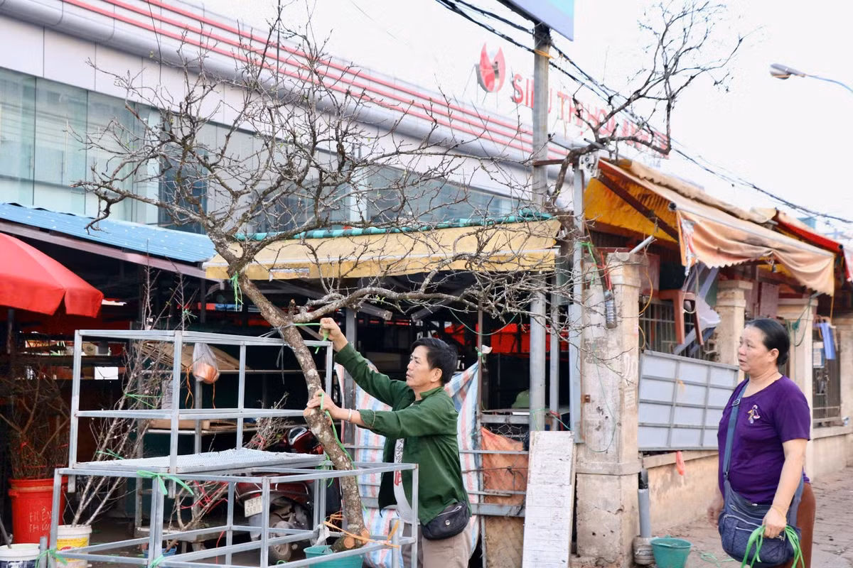 Man, dao Tay Bac no som hut khach cho hoa Quang An, Ha Noi-Hinh-6