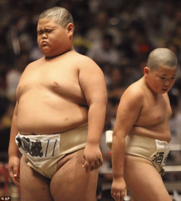 "Vấn đề chỉ xảy ra khi họ về hưu. Dù phần lớn các tay vật sumo chuyên nghiệp đều giảm cân và trở lại hình thù của người bình thường do chế độ ăn kiêng đặc biệt, nhưng họ lại gánh chịu hậu quả của viêm thoái hoá, hư mòn khớp do tình trạng thừa cân trong thời gian dài.