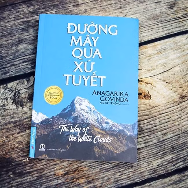 9 tua sach khoi cam hung cho nguoi me lang thang