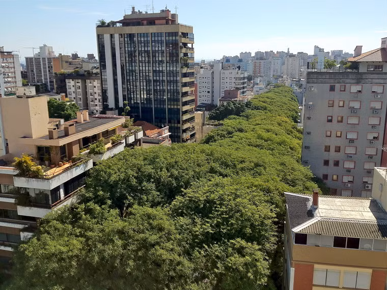 Từ một đường phố ít người biết đến, Gonçalo de Carvalho đã trở thành một địa danh thu hút sự quan tâm của nhiều du khách trên thế giới.