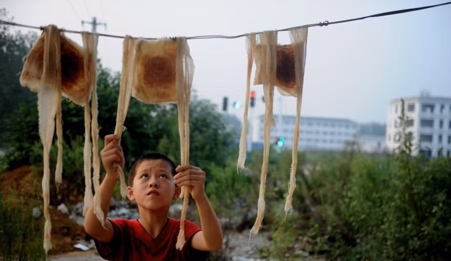 Chí Hoa phơi bông băng y tế trước nhà.