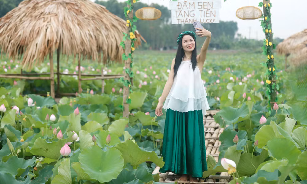 Du khach toi tham quan dam sen bat ngat o Bac Giang-Hinh-10