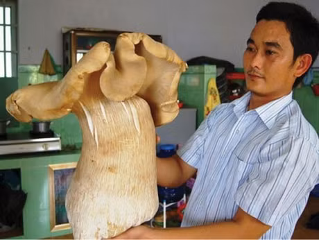 Troi chua sang, dot duoc di tranh tim nam moi
