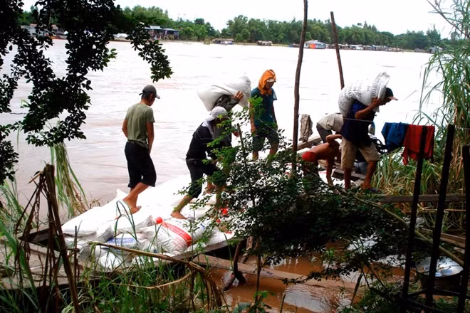 Các tay đầu nậu buôn đường thuê tiền công vận chuyển từ bên kia biên giới qua tận nhà kho phía An Giang bên này biên giới khoảng 30.000 đồng/bao.