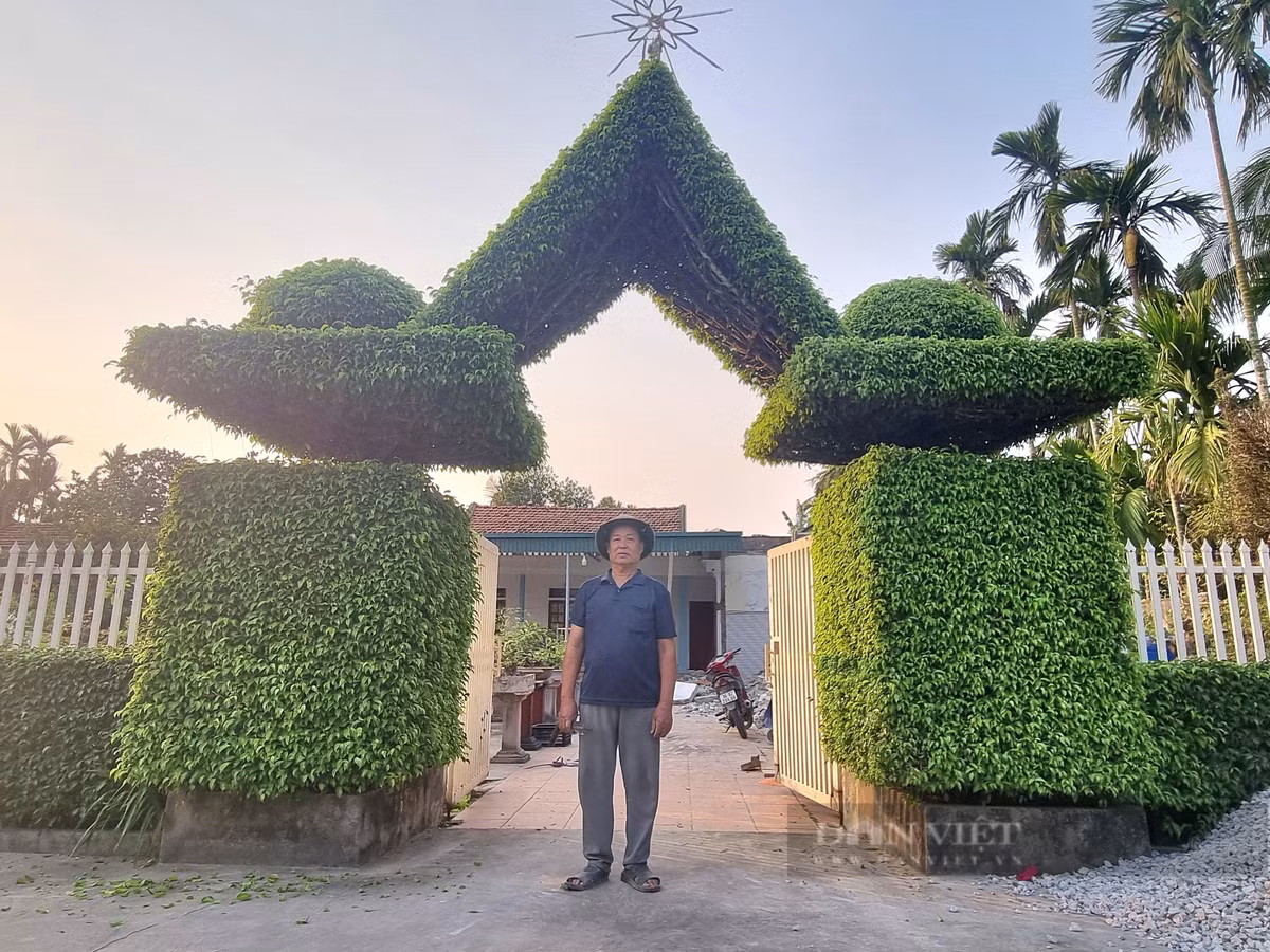 Cach tan 2 cay sanh co thu thanh cong nha dep nhu phim