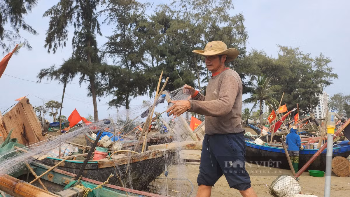 Loai ca khoai ngon o Thanh Hoa, gia ban gan 500.000 dong/kg-Hinh-9