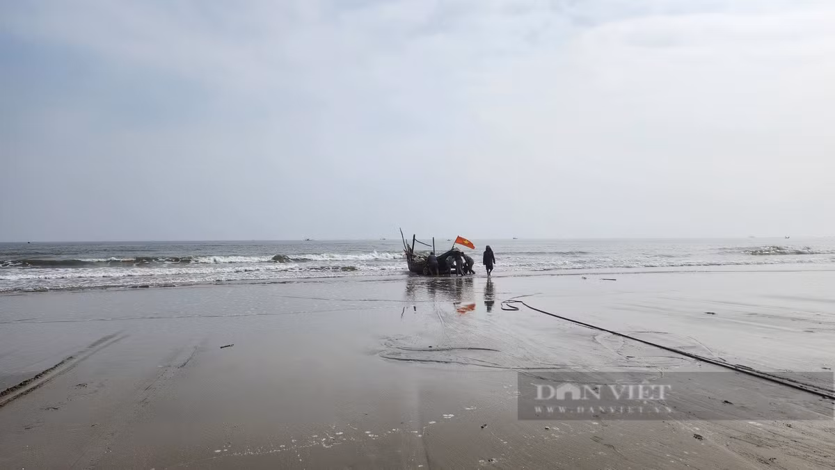 Loai ca khoai ngon o Thanh Hoa, gia ban gan 500.000 dong/kg