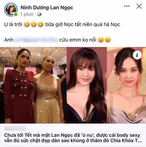 Ninh Duong Lan Ngoc len tieng khi bi nhan xet chua den Tet da u nu-Hinh-2