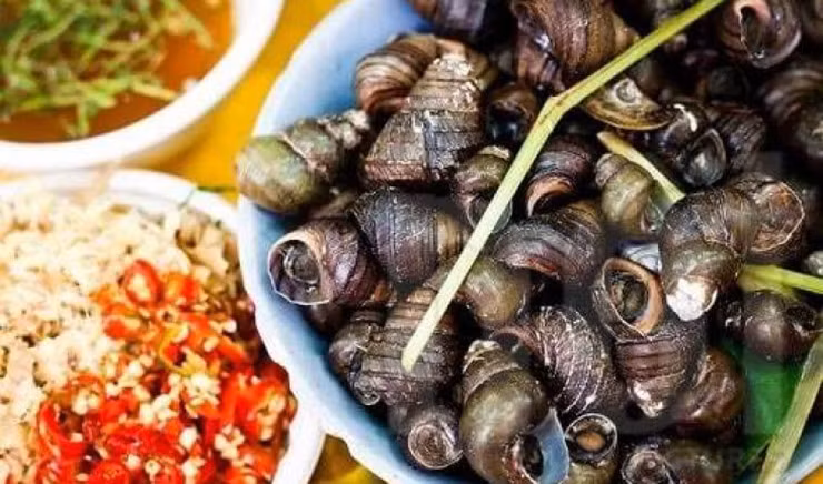 Tuy có kích thước nhỏ nhưng nhưng thịt của ốc đắng có mùi vị riêng, hơi ngăm ngăm nhưng càng nhai sẽ thấy vị ốc rất ngọt, thơm.