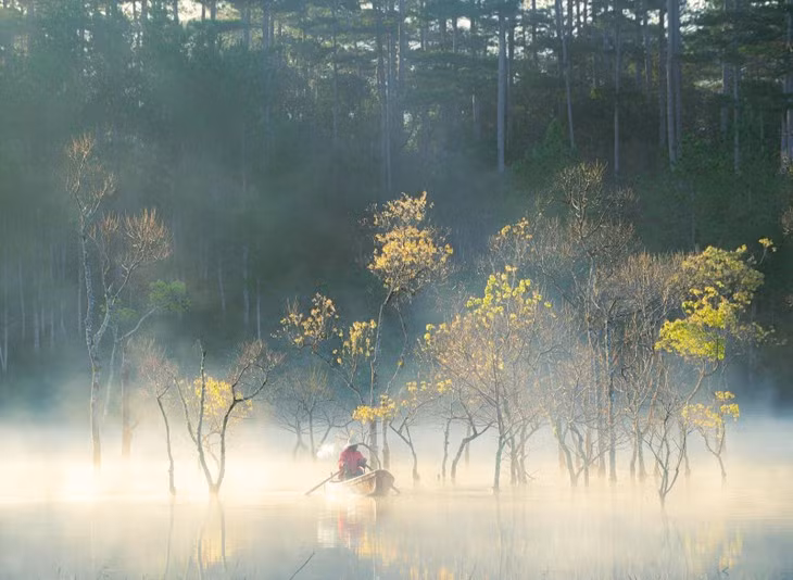 Dep ma mi suoi Tia - Da Lat-Hinh-2