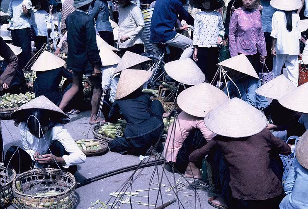 Các gánh hàng mía thu hút khá nhiều người. Mía được cắt khúc và rọc vỏ tại chỗ.