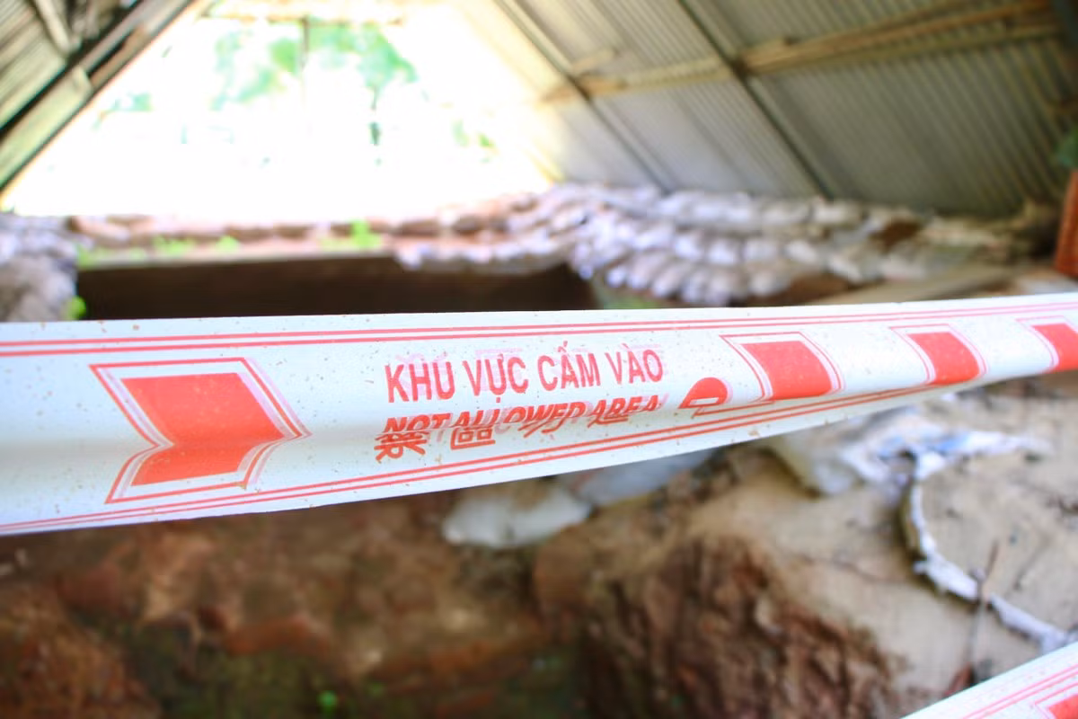 Xot xa di tich Cham co phoi nang mua cho bao tang 140 ty-Hinh-7