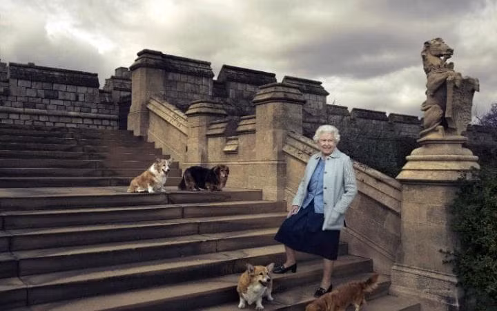 Hiện tại, Nữ hoàng Elizabeth II của nước Anh dành rất nhiều kì nghỉ cuối tuần trong năm tại lâu đài này. Bà cũng sử dụng lâu đài cho những công việc của quốc gia. Ảnh: The Telegraph.