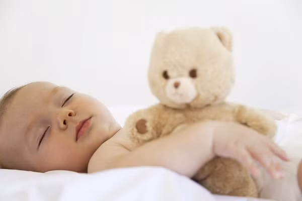 Cũng giống như thảm trải sàn, thú nhồi bông được ví như tấm bọt biển hút các loại bụi bẩn, vi khuẩn, vi trùng.
