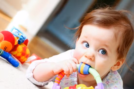 Các bé rất hay ngậm đồ chơi trong miệng rồi làm rớt xuống sàn, sau đó nhặt lên rồi lại cho vào miệng. Đồ chơi có thể tiếp xúc trực tiếp với cơ thể và các khí quan của bé nên rất dễ trở thành vật trung gian truyền mầm bệnh cho bé.