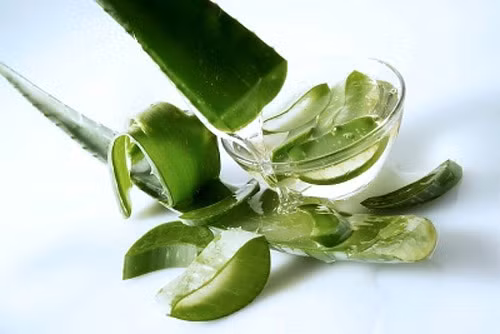 Lô hội. Trong lô hội có tinh chất giúp chống sẹo và giảm bớt các vụng sạm thâm trên da. Hiện rất nhiều loại kem phòng chống rạn có chiết xuất từ lô hội được bán trên thị trường. Các mẹ có thể tự chế loại kem này bằng cách trộn dịch lô hội và dầu oliu, sau đó mát xa nhẹ nhàng mỗi ngày để khắc phục vùng da xấu xí.