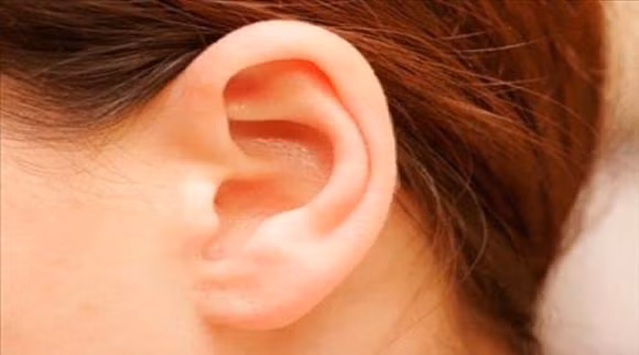 Tướng người tai to. Người sở hữu tướng tai to đa phần là những con người có tính khí phách hùng mạnh.