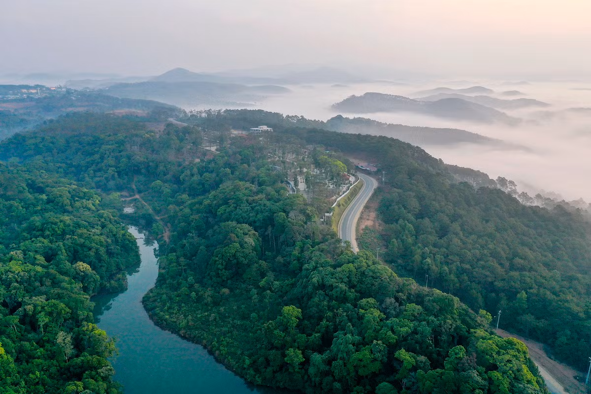 Giữa tiết trời se lạnh buổi sớm, du khách có thể đứng bên đồi thông cổ thụ dọc quốc lộ 24, phóng tầm mắt về phía thung lũng, đón ánh bình minh trôi bồng bềnh giữa màn sương sớm.