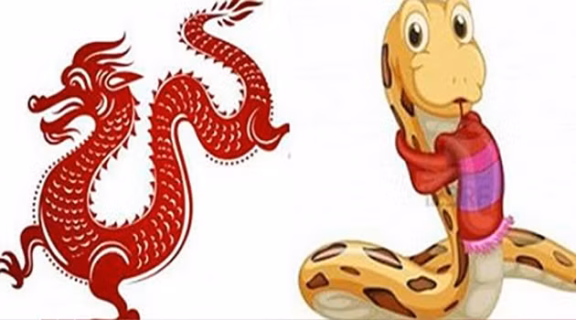  Tuổi Thìn và tuổi Tỵ. Về cơ bản, Thìn và Tỵ có bản chất khá giống nhau. Họ đều là những con giáp kiên cường và luôn tự tin vào bản thân của mình. Nếu kết hợp lại, Thìn – Tỵ rõ ràng có khả năng tạo ra những thành công vang dội mà chưa chắc con giáp khác có thể làm được. 
