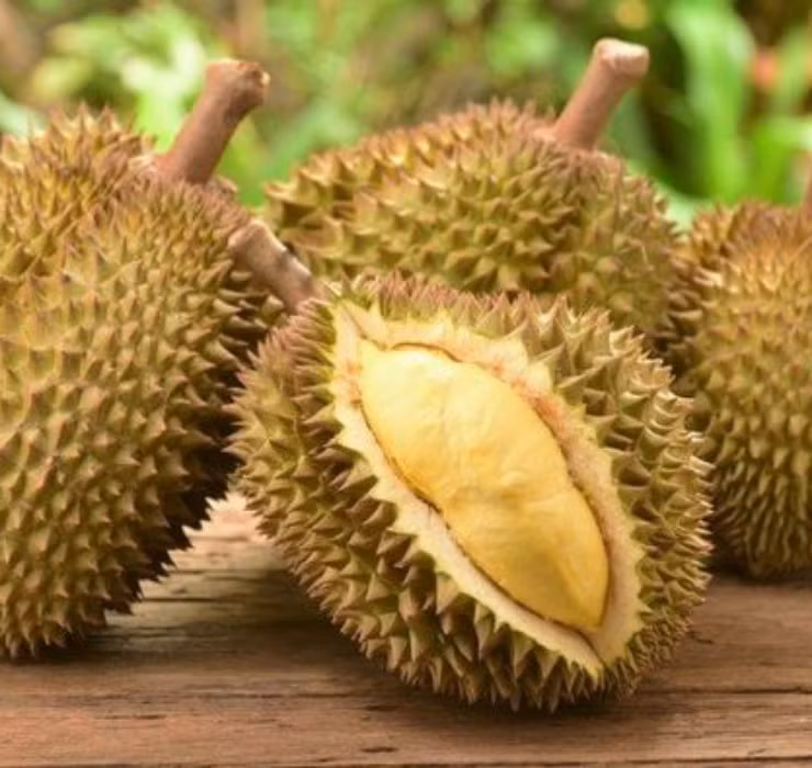 Nằm ở đầu danh sách là “siêu thực phẩm” đến từ Thái Lan - sầu riêng Kanyao. Đây là một trong những loại trái cây đắt đỏ và được giới nhà giàu “săn lùng” nhiều nhất trên thế giới.