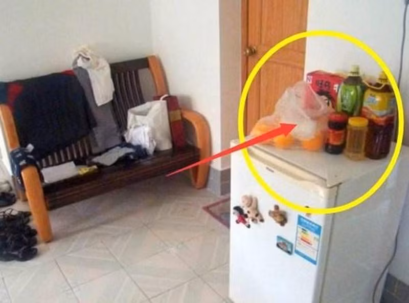 Trên nóc tủ lạnh cũng không nên đặt đồ linh tinh. Những món đồ như lò vi sóng, chìa khóa, lọ hoa,… đặt trên nóc tủ lạnh đều làm ảnh hưởng đến tài lộc. 