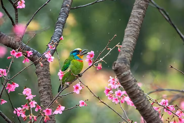 Ai sinh thang Am lich nay vuong van quy nhan, lam giau khong kho-Hinh-4