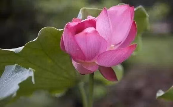 Nguoi sinh vao 7 ngay am lich nay duoc troi ban cho phuc khi, phu quy-Hinh-4