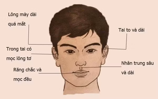 Dan ong 3 thu nay cang thang cang vuong tuong giau co-Hinh-2