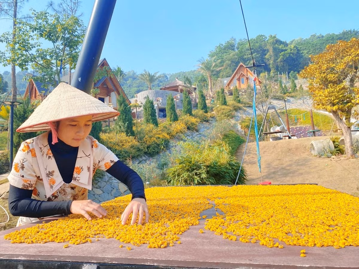 Ngôi nhà nhỏ trên thảo nguyên bước ra từ phim ảnh, làm từ gỗ ảnh 16