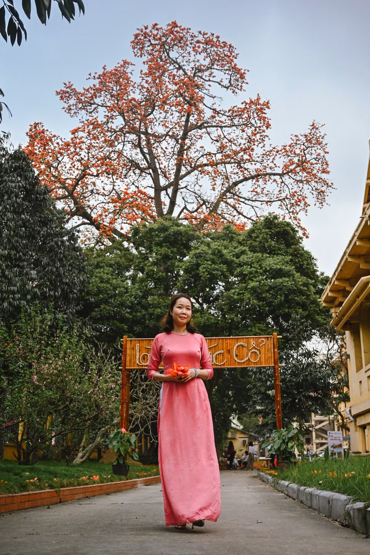 Một số khách khi đến bảo tàng cũng lựa chọn áo dài làm trang phục chụp ảnh với cây hoa gạo.