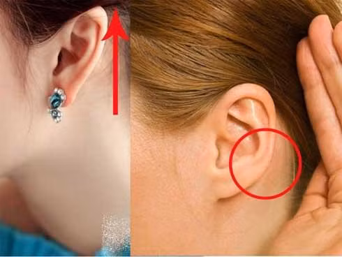 Dái tai dày. Theo tướng số, người có dái tai dày thường có nhiều tài lộc, phúc khí dồi dào. Dái tay càng dày thì số tài sản họ sở hữu càng nhiều. Cuộc sống của người này có thể không đặc biệt giàu có nhưng chẳng bao giờ lo thiếu tiền.