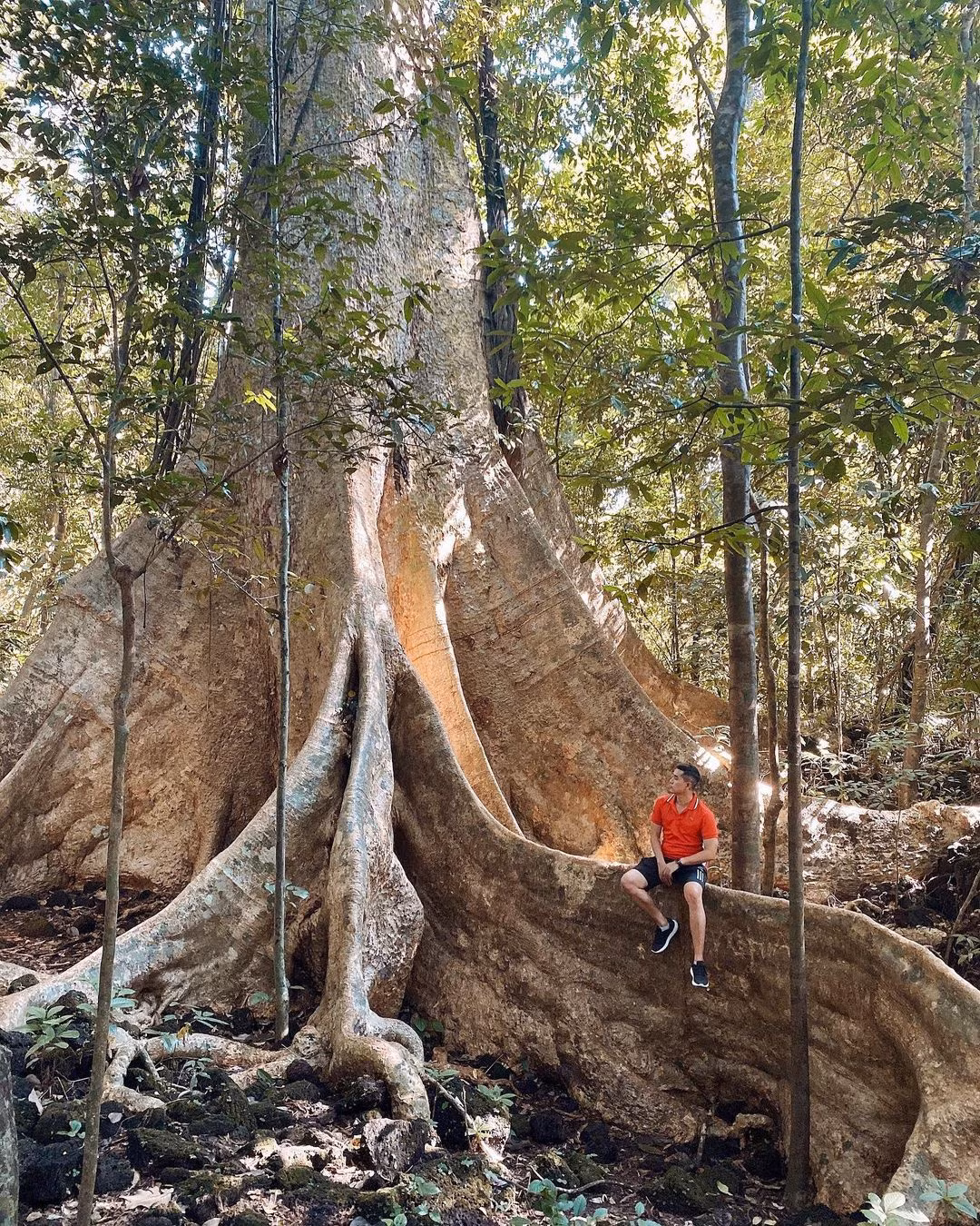 3 cung duong trekking cho nguoi moi-Hinh-9