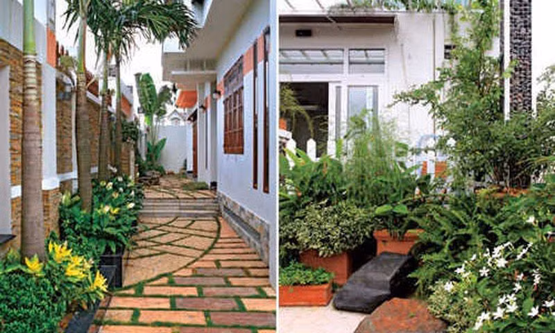 Cổ nhân nhắc nhở: 3 loại cây trồng sau nhà trấn giữ của cải, biến nguy thành an Co nhan nhac nho: 3 loai cay trong sau nha tran giu cua cai, bien nguy thanh an