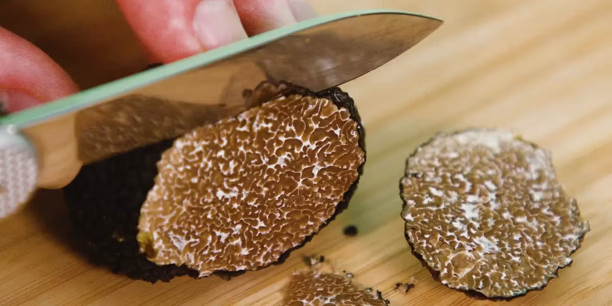 Chú chó ra sức đào ra một cục đá dưới gốc cây, là "kim cương" của ẩm thực - Hình 3 Chu cho ra suc dao ra mot cuc da duoi goc cay, la