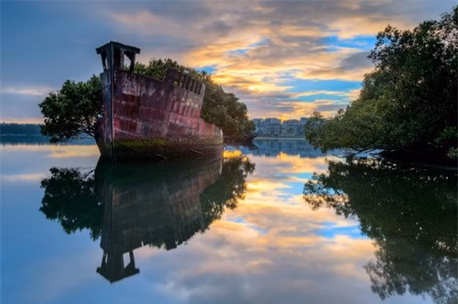 Khu rừng nổi 102 tuổi tại Sydney, Úc.