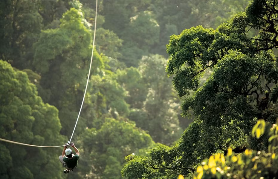 Khu bảo tồn rừng mây Monteverde thu hút khách du lịch bởi những trải nghiệm thú vị cùng cảnh quan rừng nguyên sinh, động thực vật phong phú. Ảnh: Frommers.