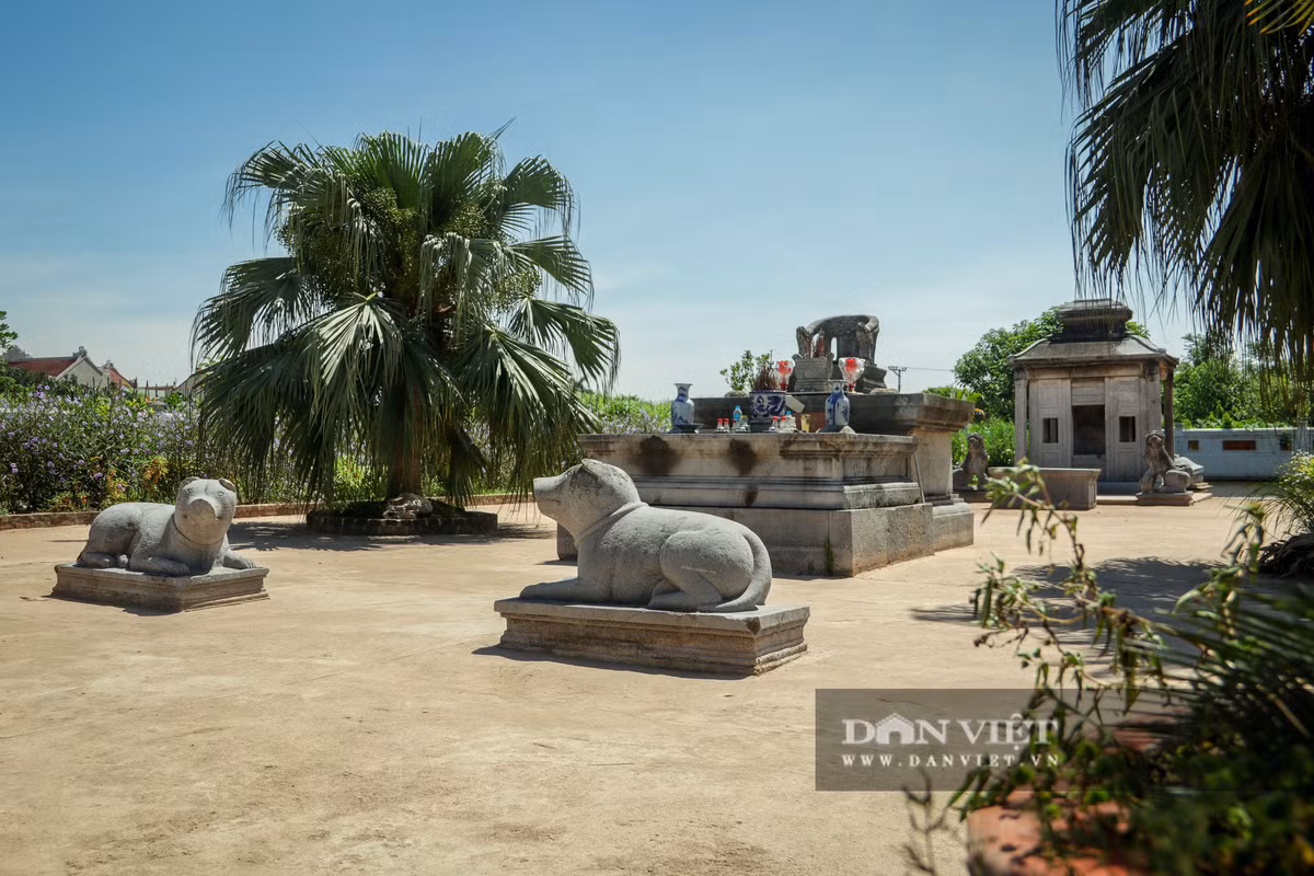 Nằm giữa cánh đồng thuộc thôn Nỏ Bạn, xã Vân Tảo, huyện Thường Tín, Hà Nội, lăng mộ đá Quận Vân là nơi yên nghỉ của Quận công Đại giang Đỗ Bá Phẩm, thời nhà Lê Trung Hưng (1533 - 1789).