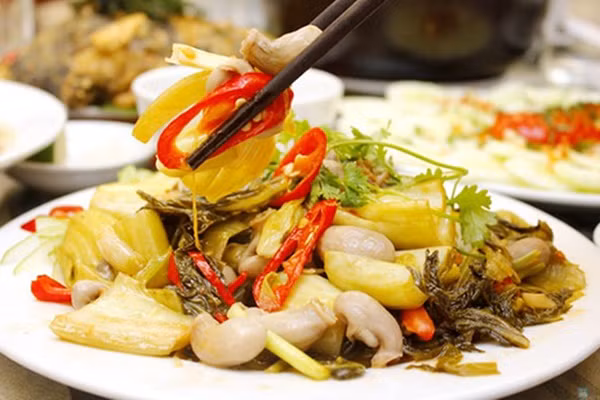 Bo phan cuc tot o ca, duoc vi nhu nhan sam bien