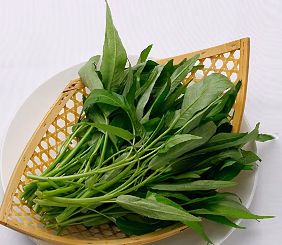 Loai rau “van nguoi me”, canxi cao hon sua-Hinh-3