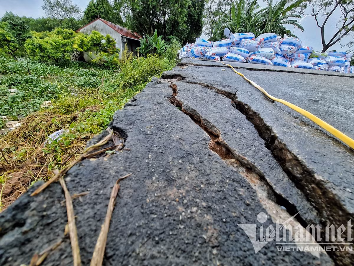 Gia đình ông Quý (SN 1972) có xây dựng một nhà tạm để trông giữ trang trại, do ảnh hưởng của việc sụt lún đê nên tường nhà ông xuất hiện nhiều vết nứt kéo dài, một số vết nứt hở hàm ếch ngày một nghiêm trọng. (Các vết nứt kéo dài uy hiếp an toàn hệ thống đê điều)
