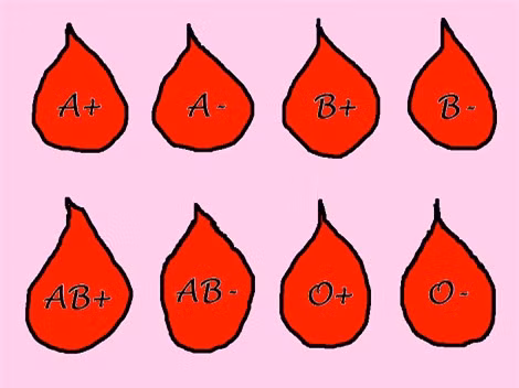 9 bí ẩn về thế giới khiến các nhà khoa học bó tay ảnh 7 9 bí ẩn về thế giới khiến các nhà khoa học bó tay ảnh 7
