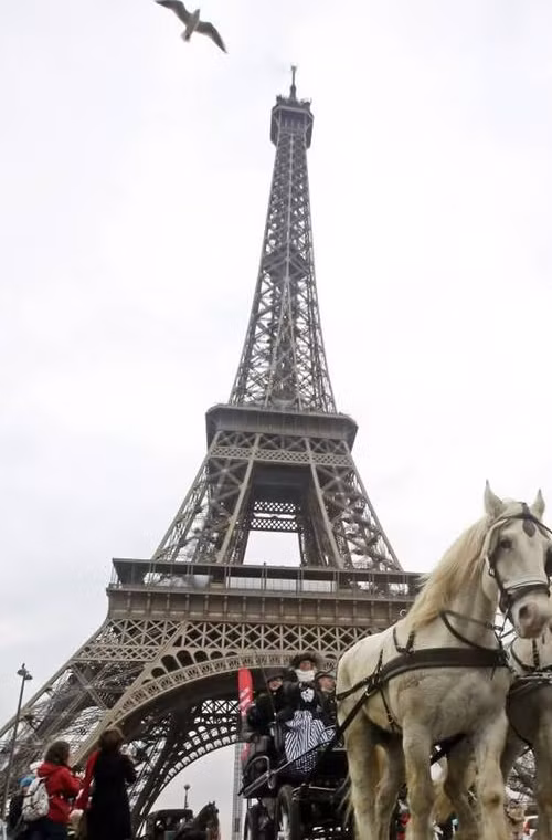 5.Paris đứng thứ năm trong số các thành phố dễ sống nhất cho những người trẻ. Chỉ số xếp hạng đầu tiên được đánh giá qua thời trang và hình thái nghệ thuật dựa vào lịch sử phong phú của nó.