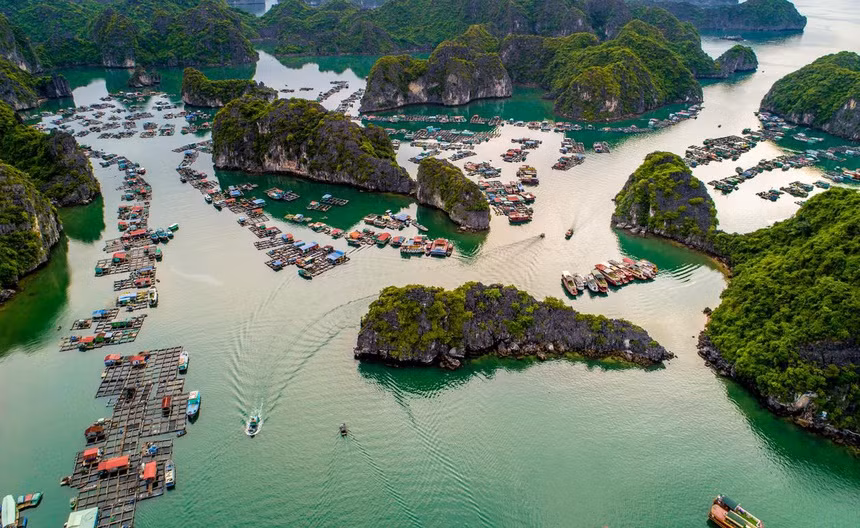 Vịnh Hạ Long có 2 lần được UNESCO công nhận là Di sản thế giới vào các năm1994 theo tiêu chí (vii) và năm 2000 theo tiêu chí (viii). Năm 1994, vùng lõi của vịnh Hạ Long được UNESCO công nhận là Di sản thiên nhiên thế giới với giá trị thẩm mỹ (tiêu chuẩn vii). Năm 2000, vịnh này tiếp tục được công nhận lần thứ hai với giá trị ngoại hạng toàn cầu về địa chất - địa mạo (tiêu chuẩn viii). Ảnh: Trần Quý.